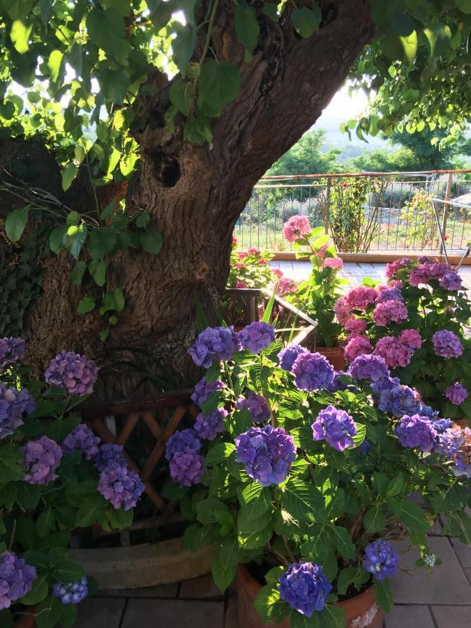 アンコーナ La Casa Sul Golfo Bed & Breakfast エクステリア 写真